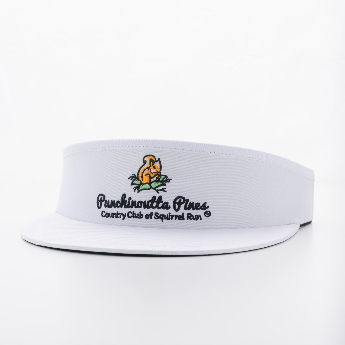 CCH Visor