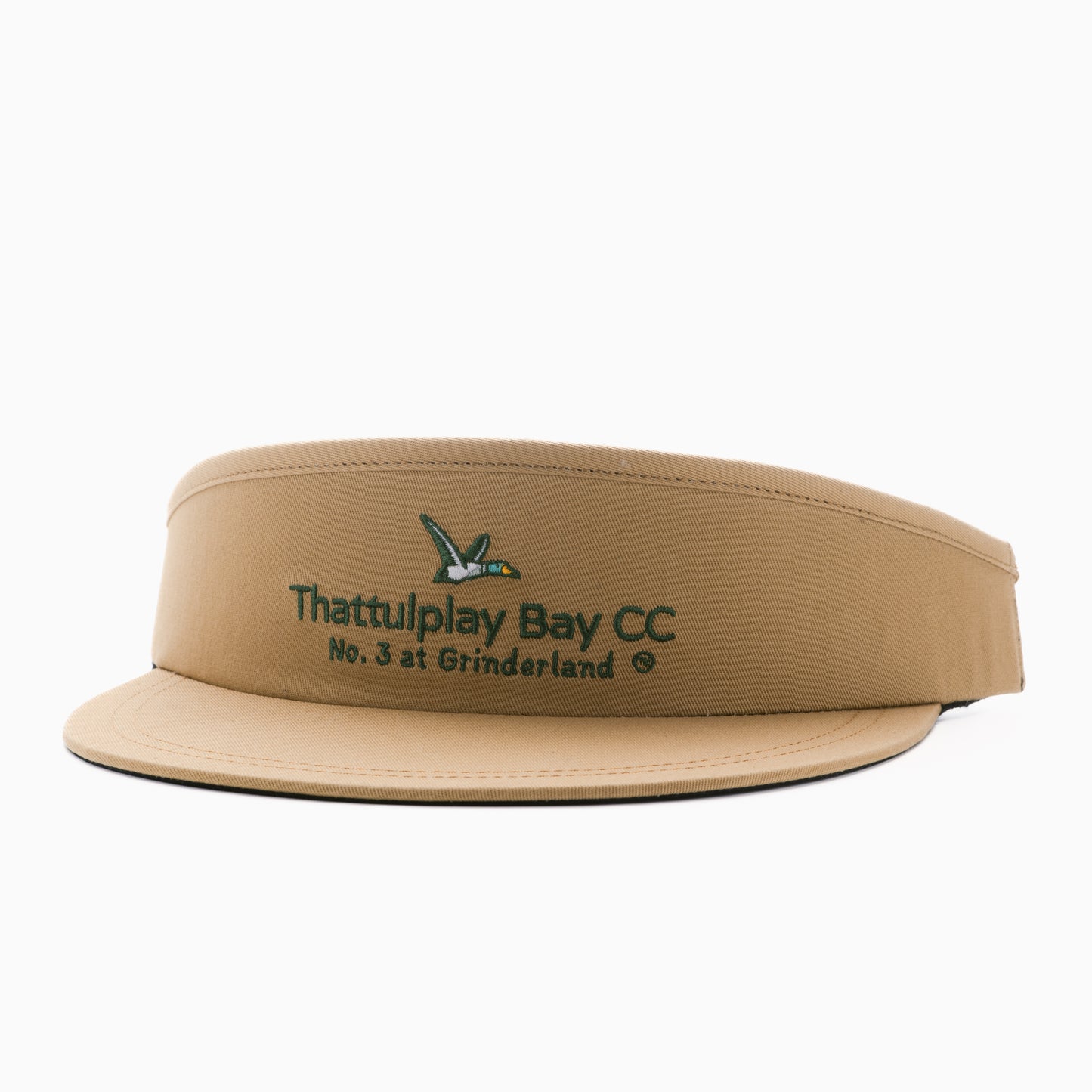 CCH Visor