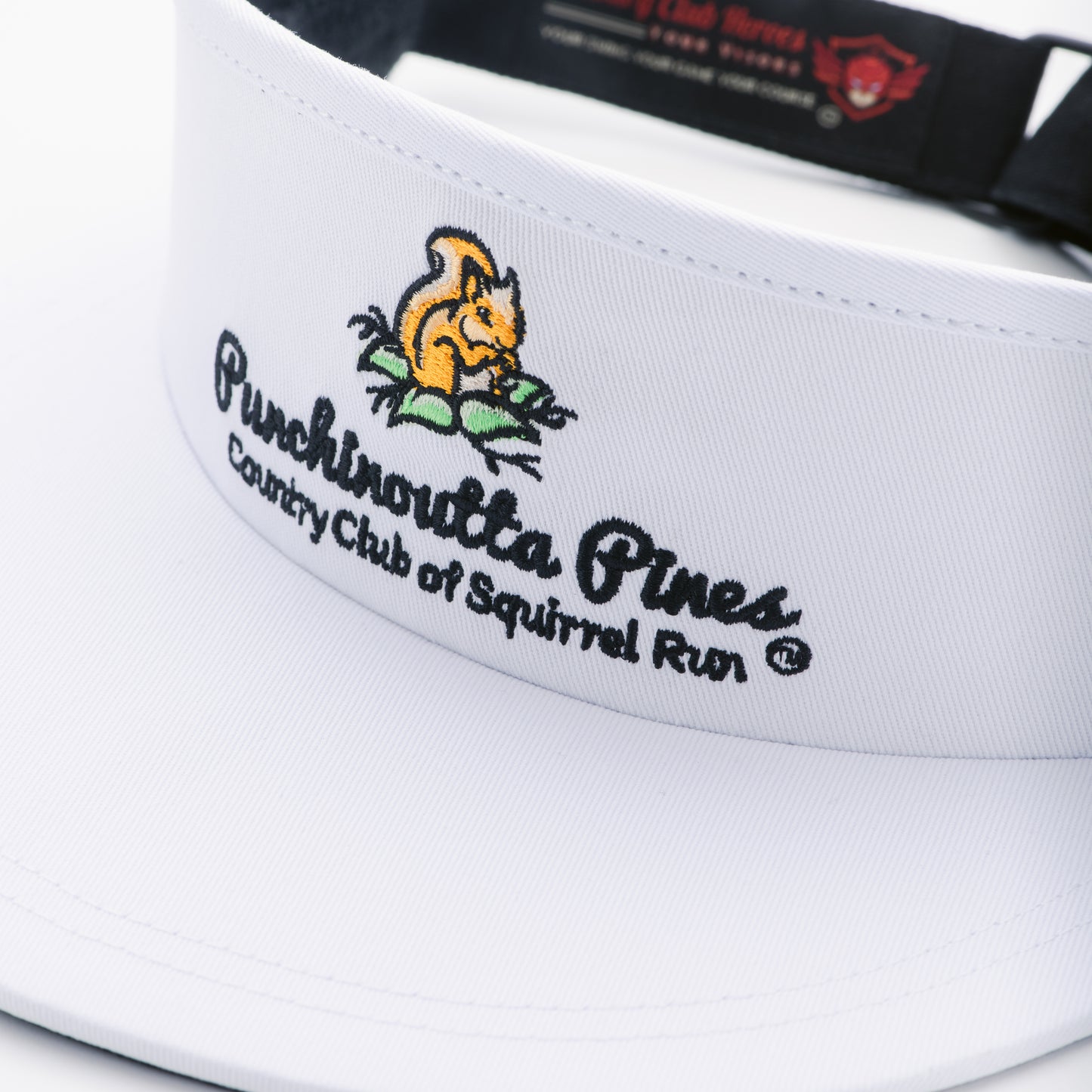 CCH Visor