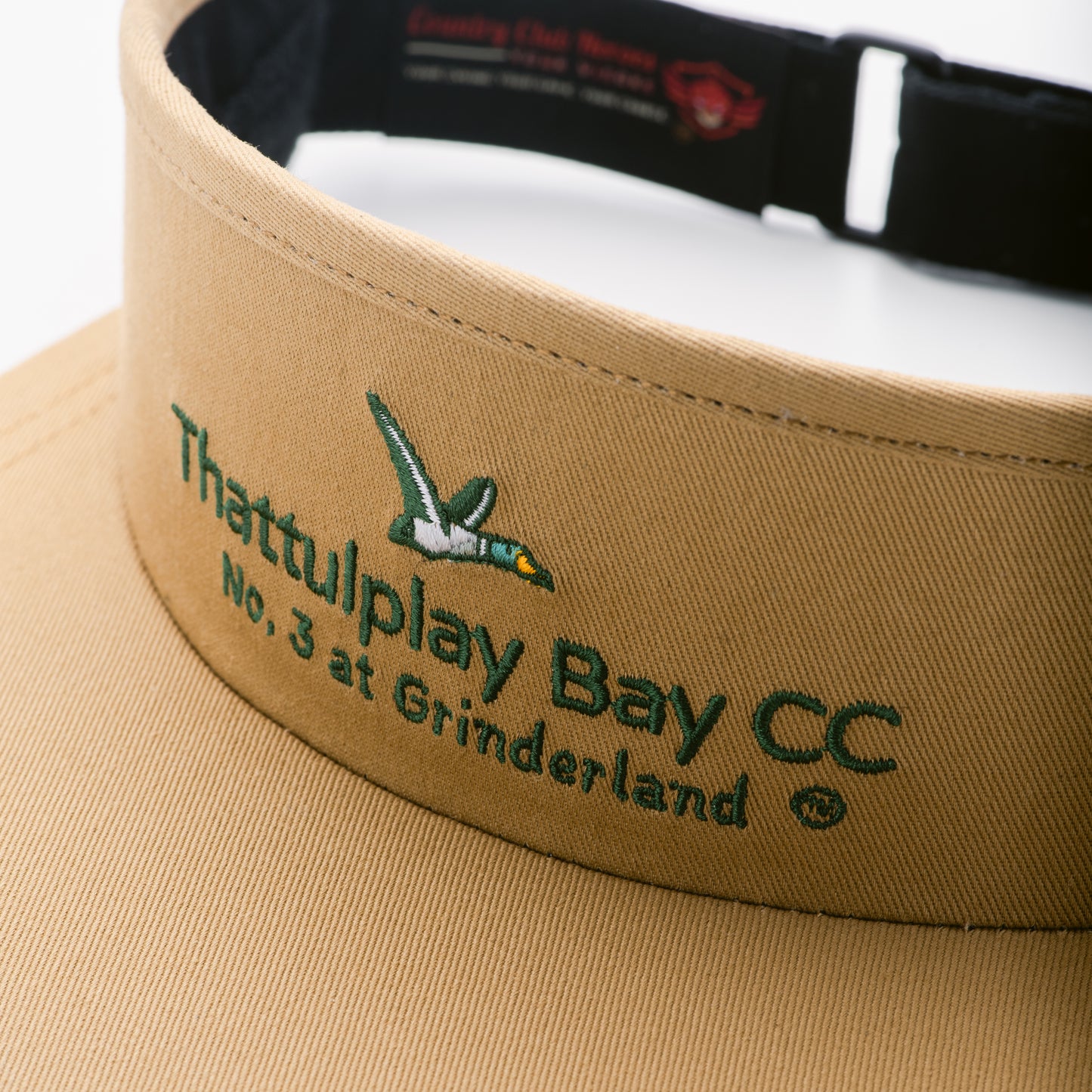 CCH Visor
