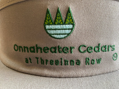CCH Visor